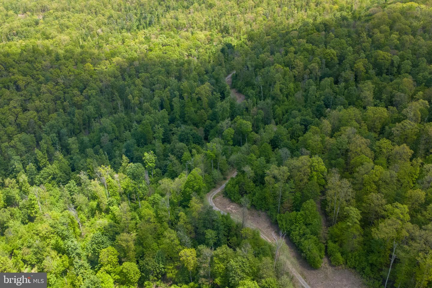 Lot 1 Laurel Mountain Rd Property Photo 38
