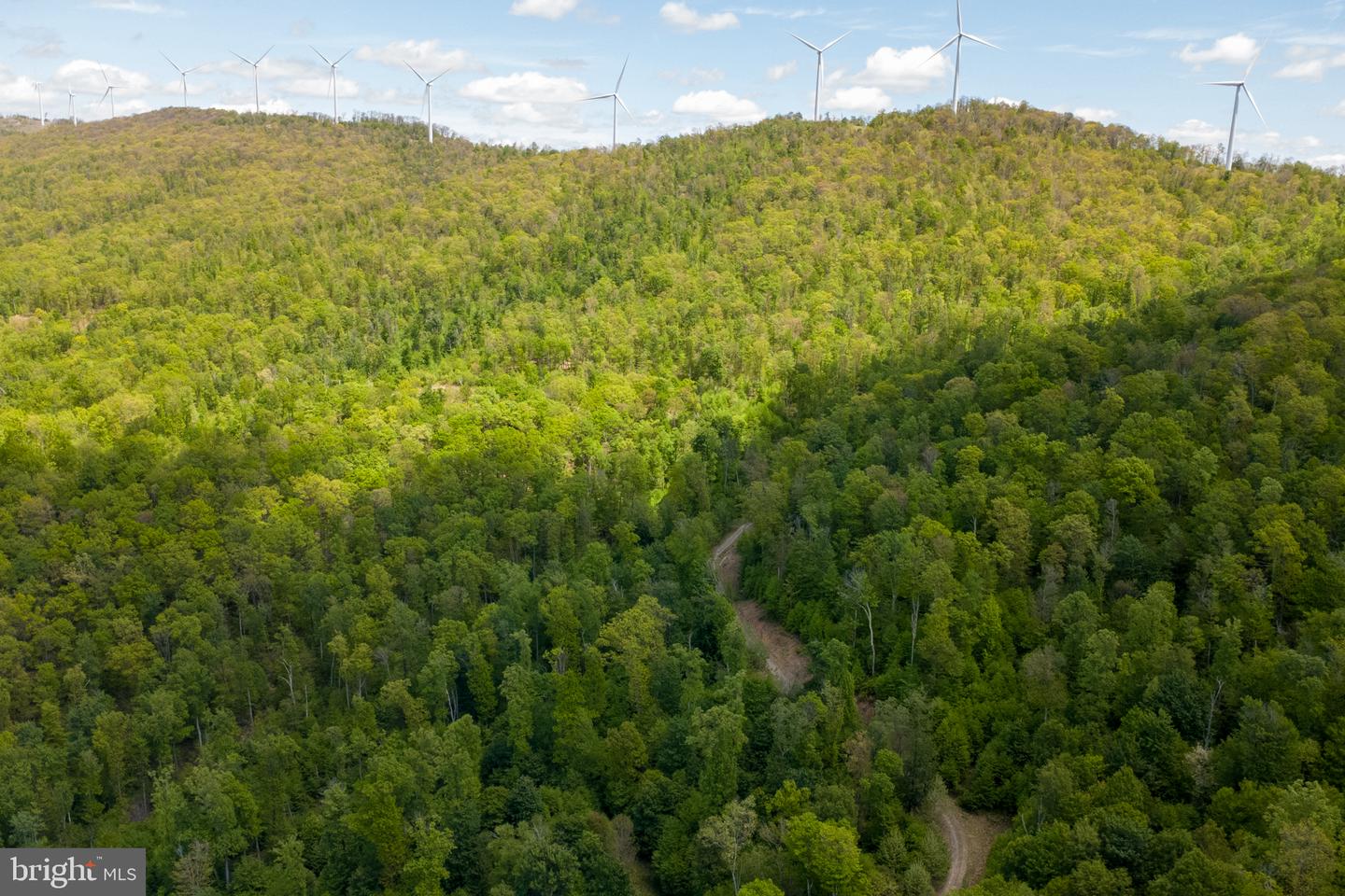 Lot 1 Laurel Mountain Rd Property Photo 39