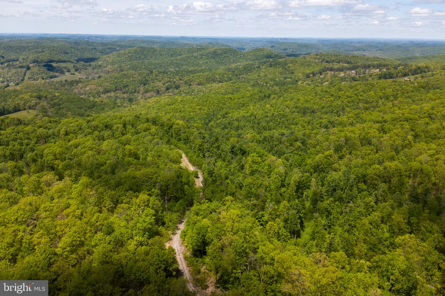 Lot 1 Laurel Mountain Rd Property Photo 41