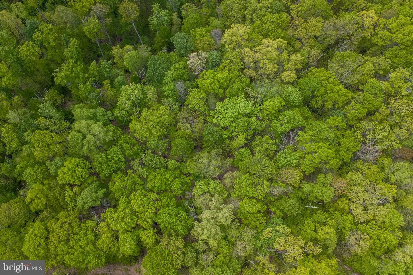 Lot 1 Laurel Mountain Rd Property Photo 44