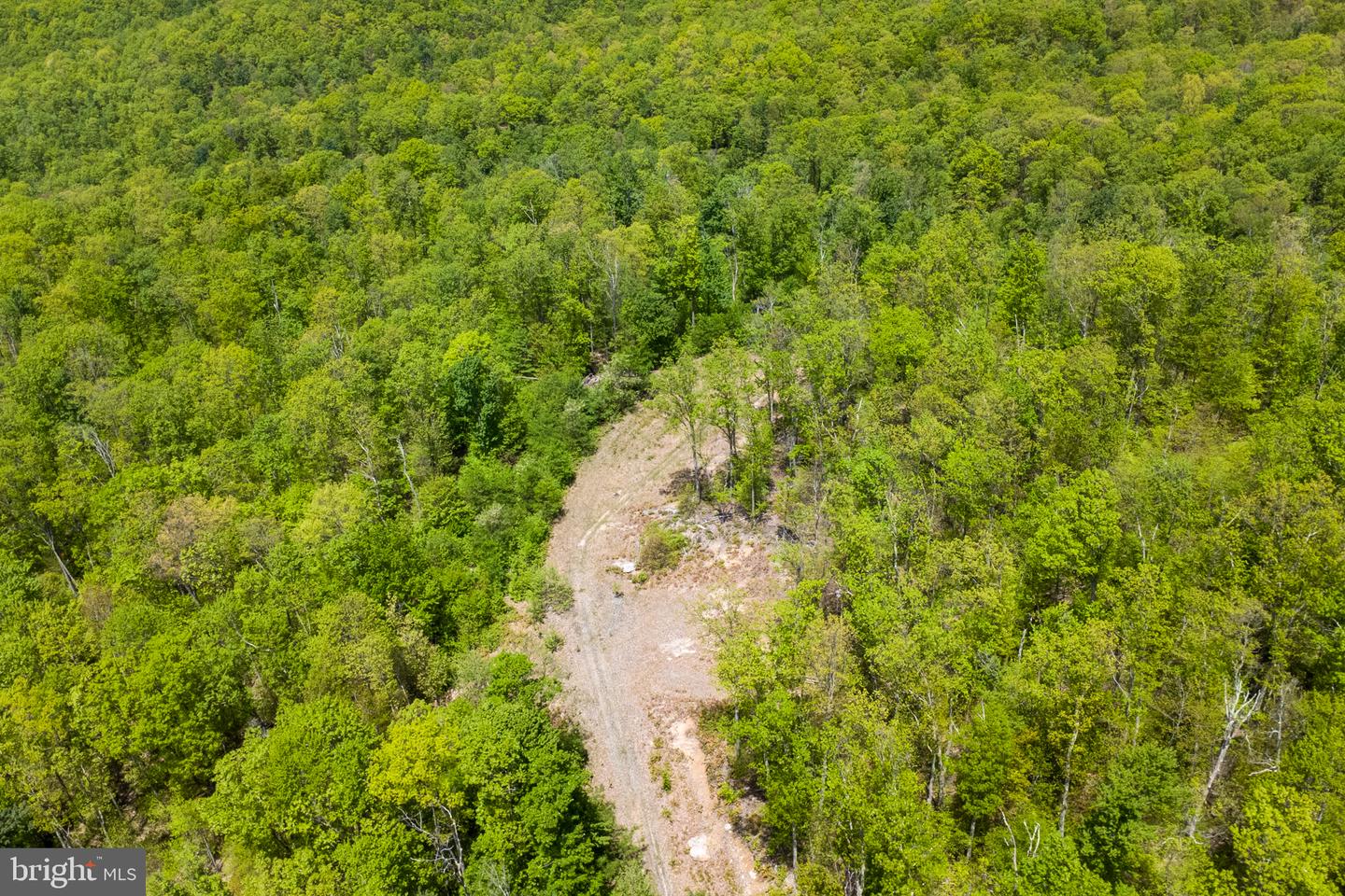 Lot 1 Laurel Mountain Rd Property Photo 48