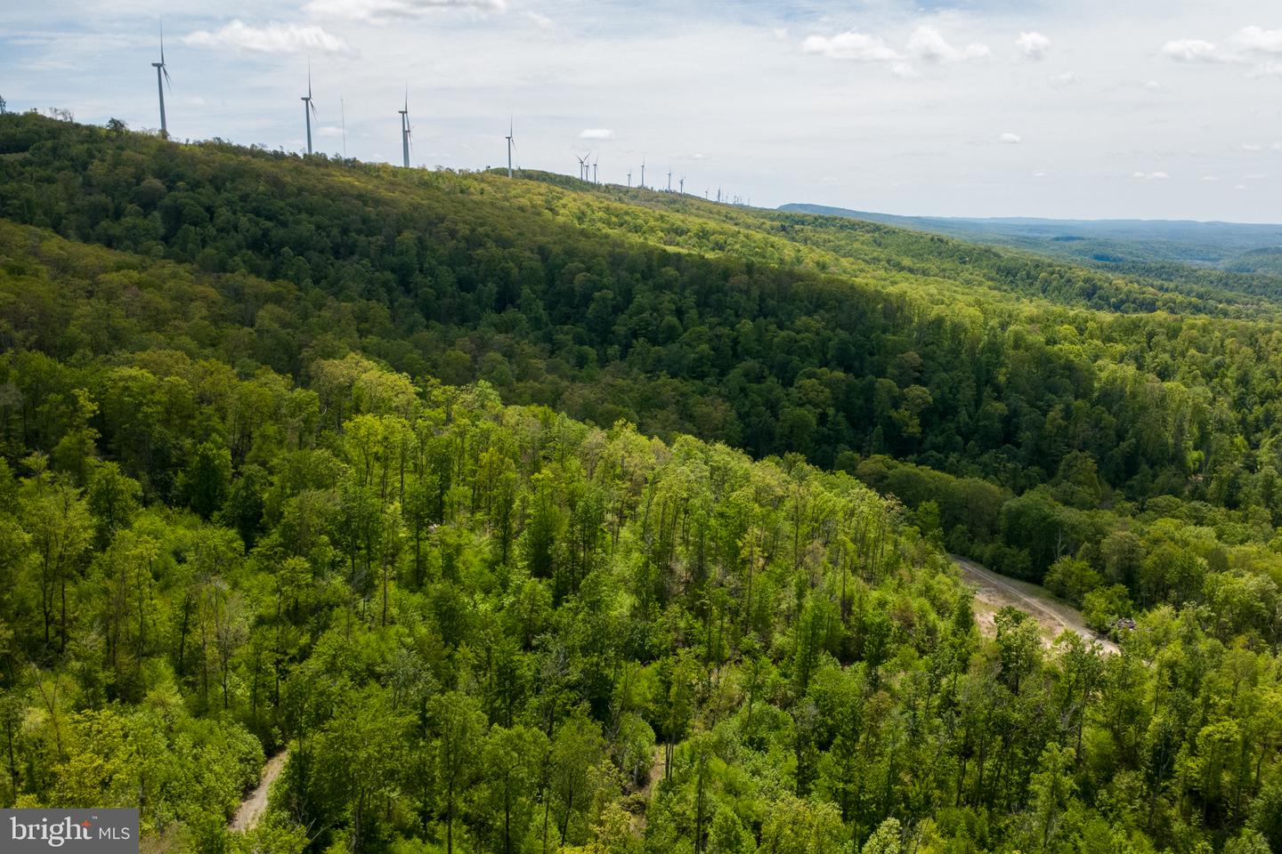 Lot 1 Laurel Mountain Rd Property Photo 50