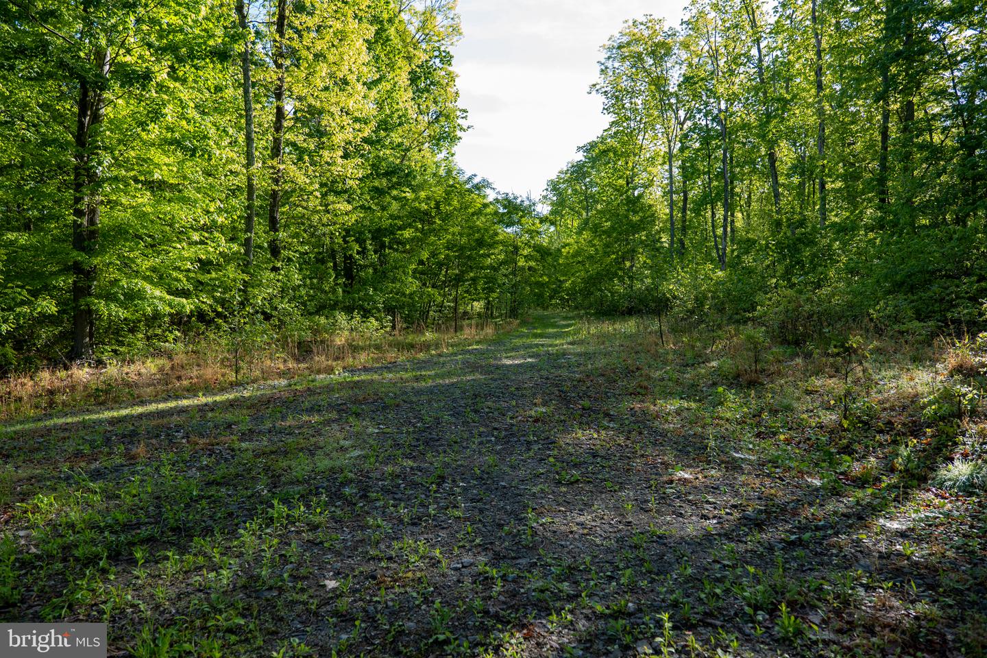 Lot 1 Laurel Mountain Rd Property Photo 56