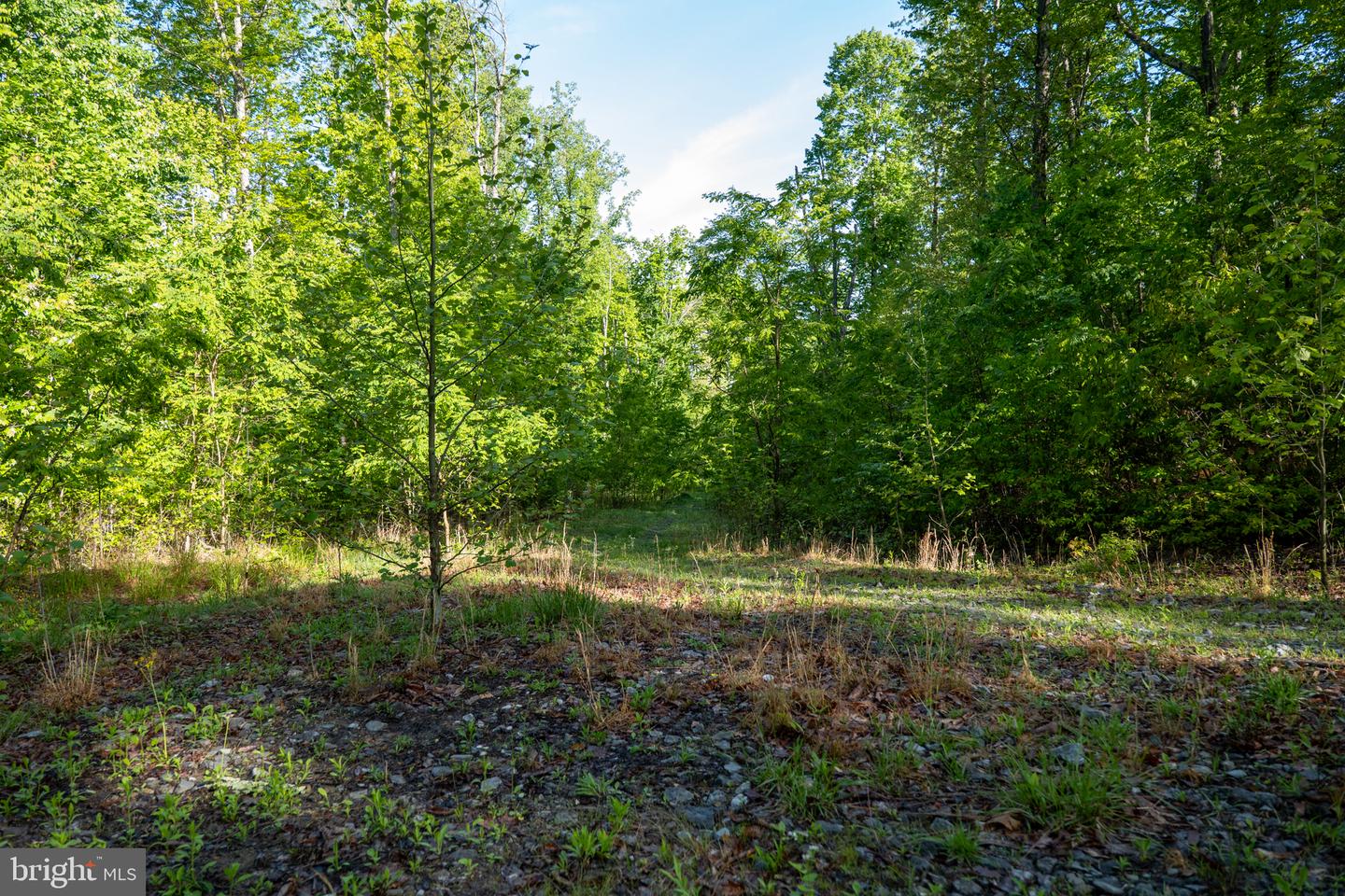 Lot 1 Laurel Mountain Rd Property Photo 57