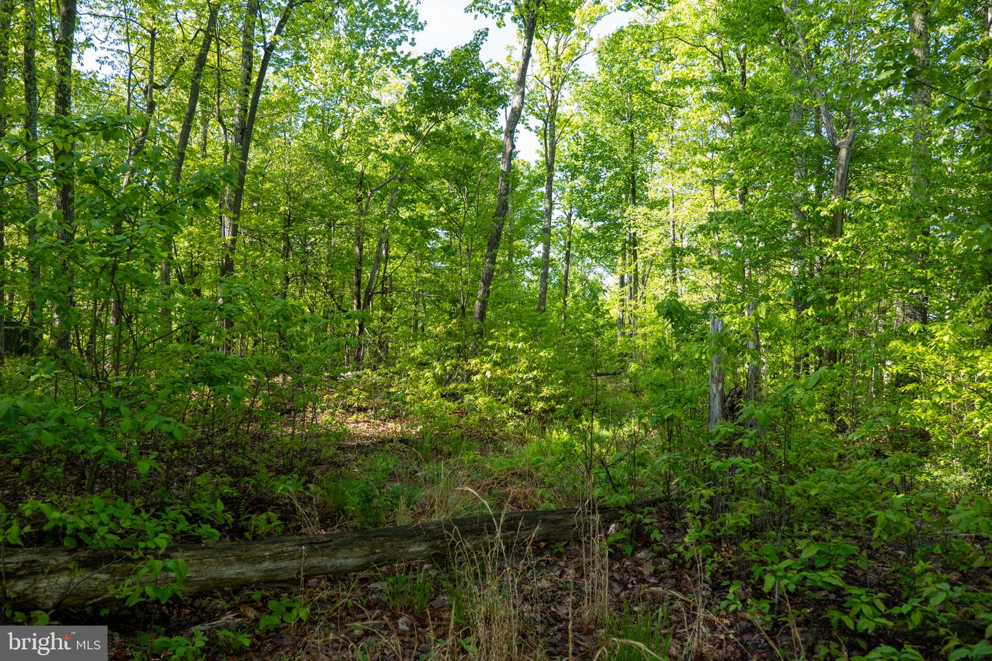Lot 1 Laurel Mountain Rd Property Photo 58