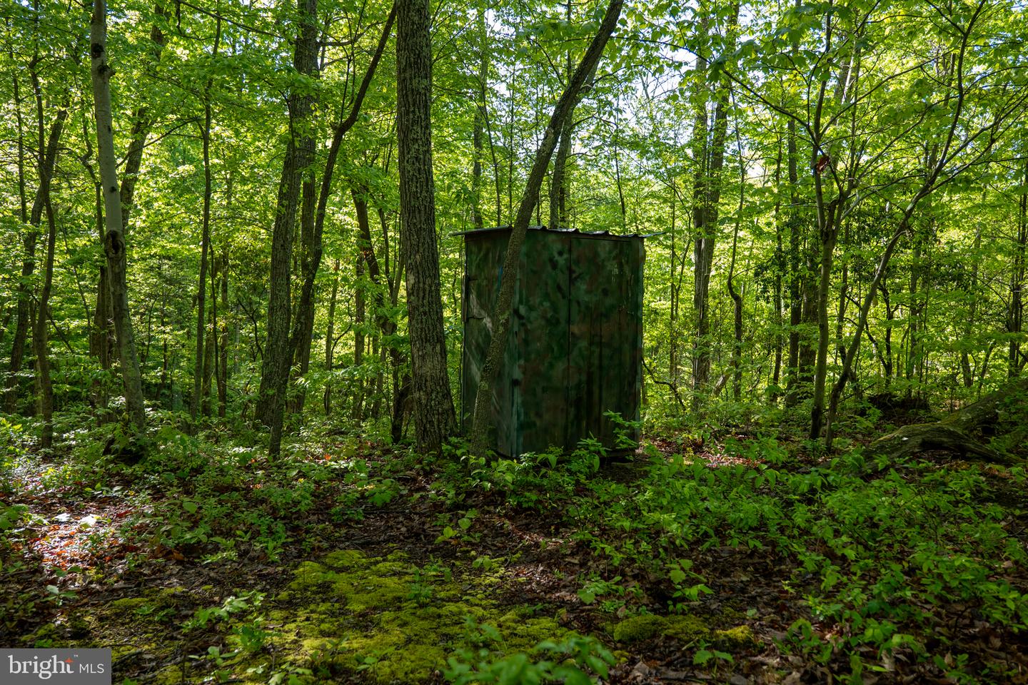 Lot 1 Laurel Mountain Rd Property Photo 59
