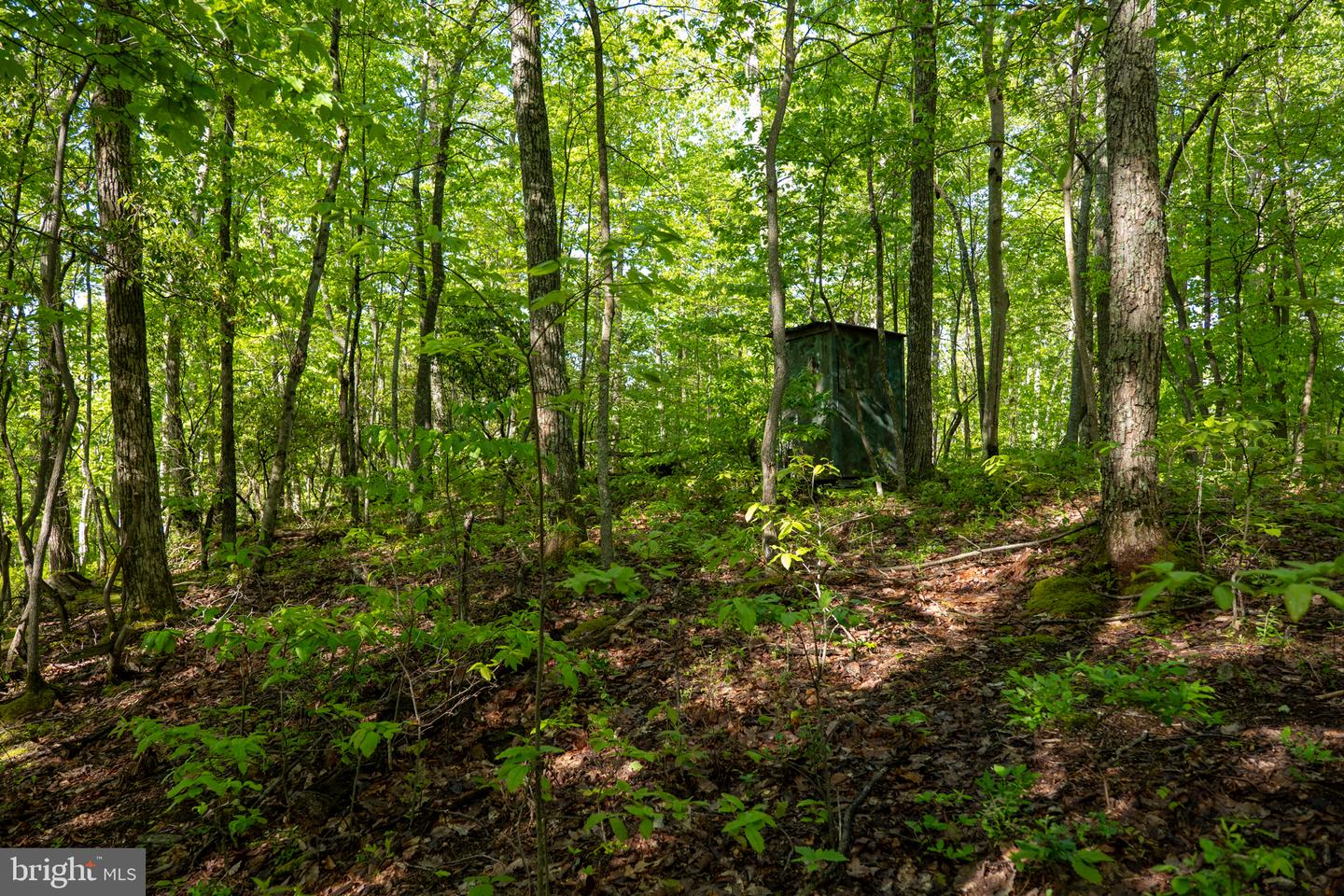 Lot 1 Laurel Mountain Rd Property Photo 63
