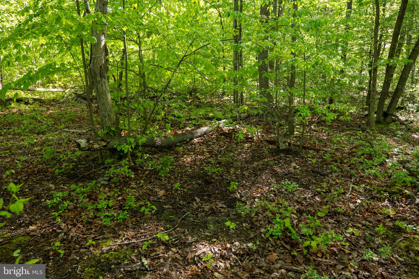 Lot 1 Laurel Mountain Rd Property Photo 64