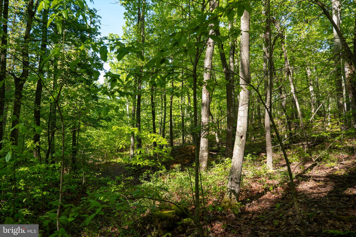 Lot 1 Laurel Mountain Rd Property Photo 67