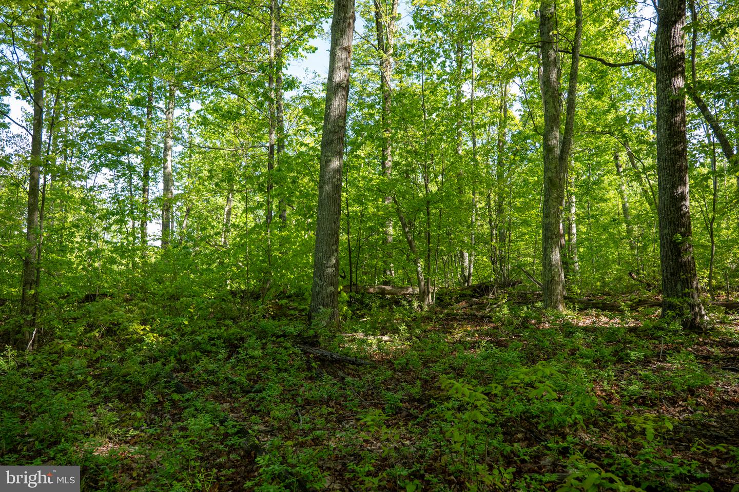 Lot 1 Laurel Mountain Rd Property Photo 69