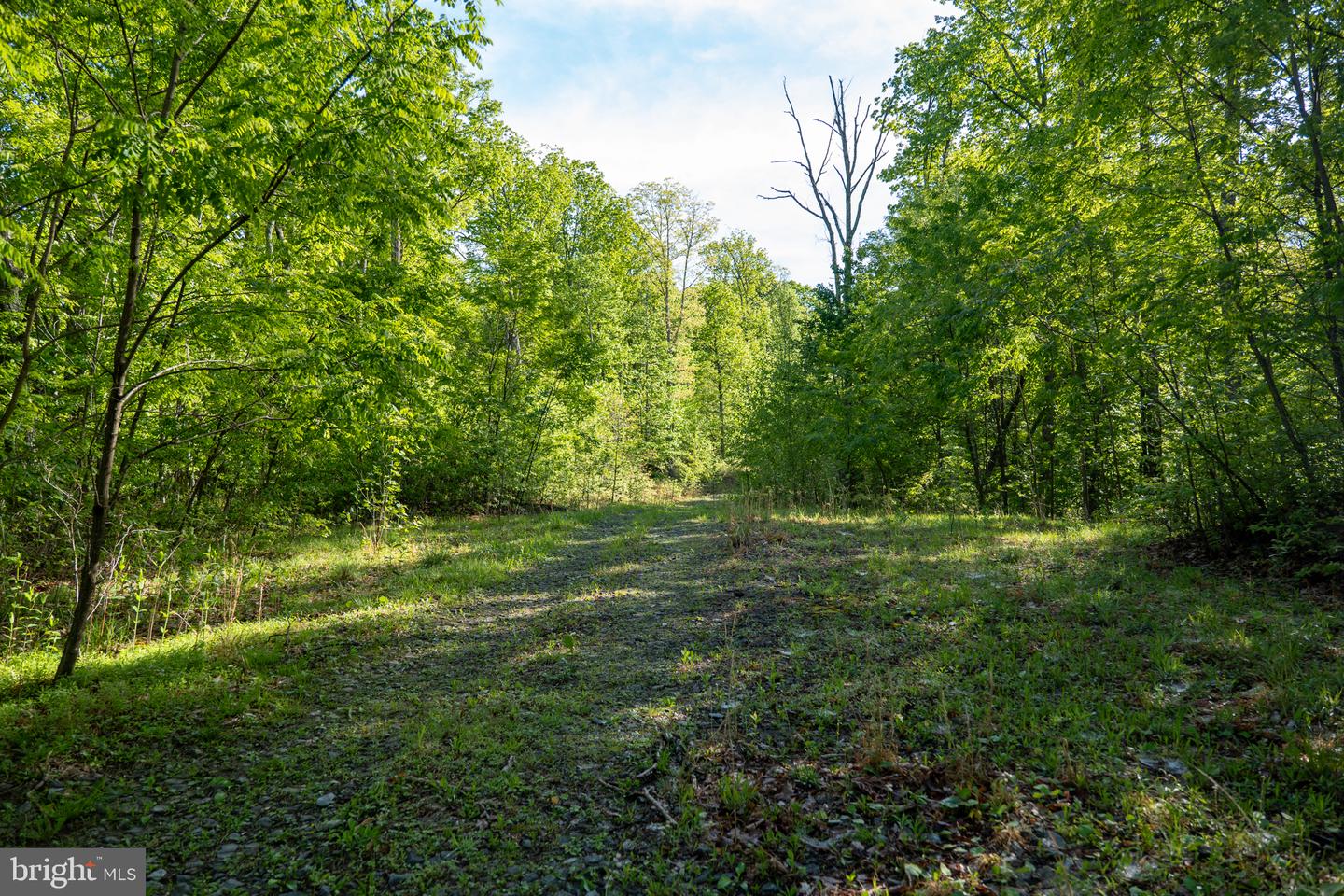 Lot 1 Laurel Mountain Rd Property Photo 73