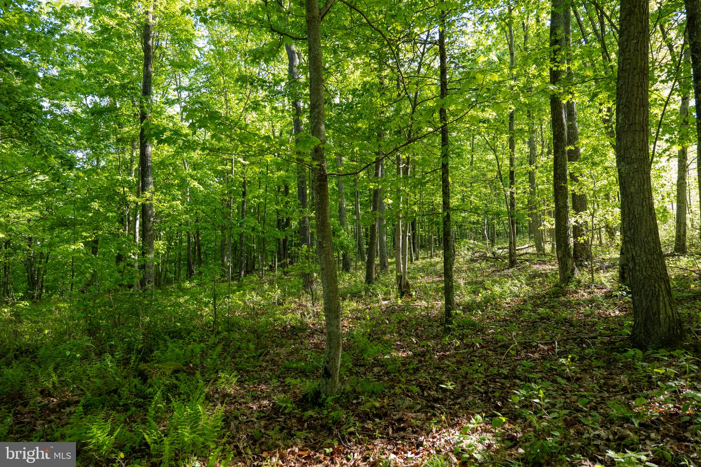 Lot 1 Laurel Mountain Rd Property Photo 74