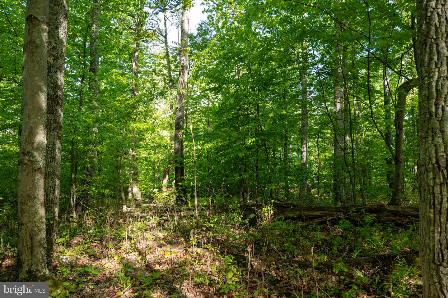 Lot 1 Laurel Mountain Rd Property Photo 76
