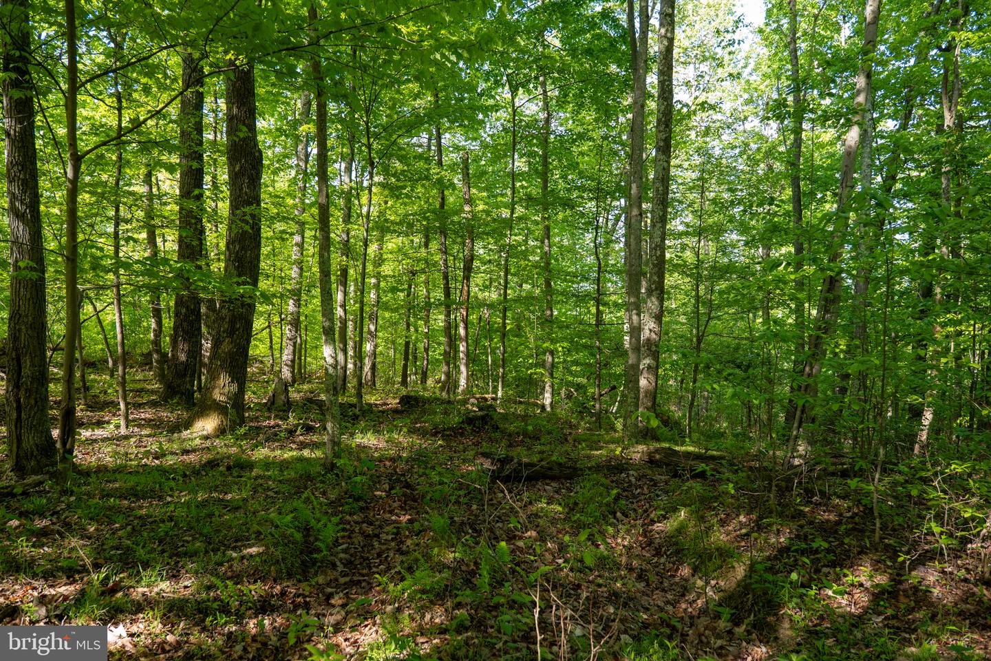 Lot 1 Laurel Mountain Rd Property Photo 77
