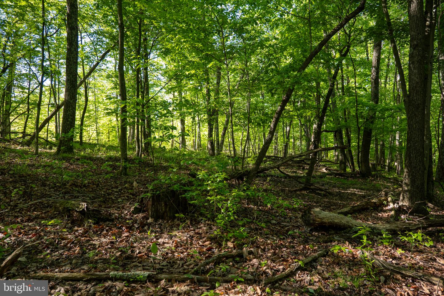 Lot 1 Laurel Mountain Rd Property Photo 79