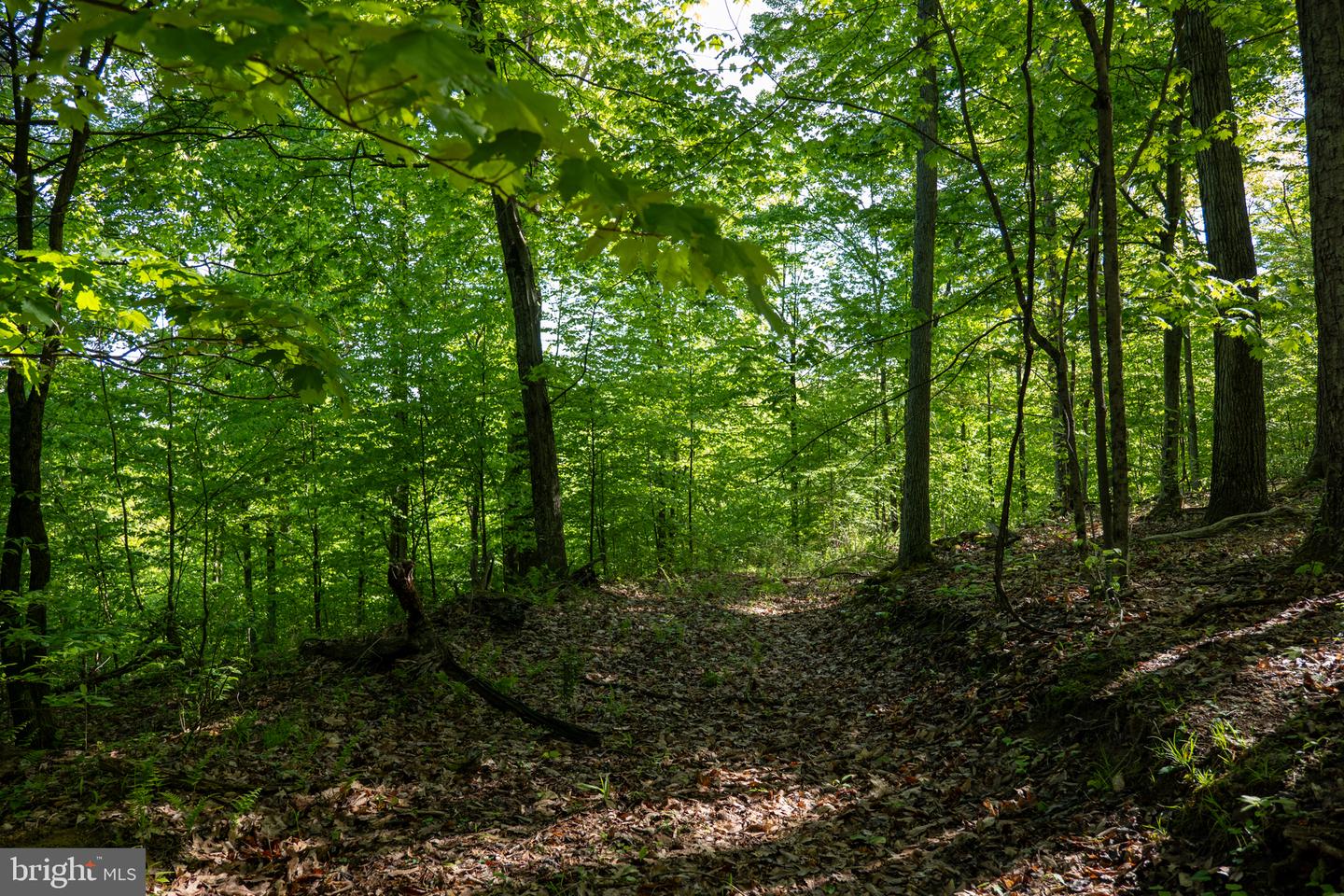 Lot 1 Laurel Mountain Rd Property Photo 81