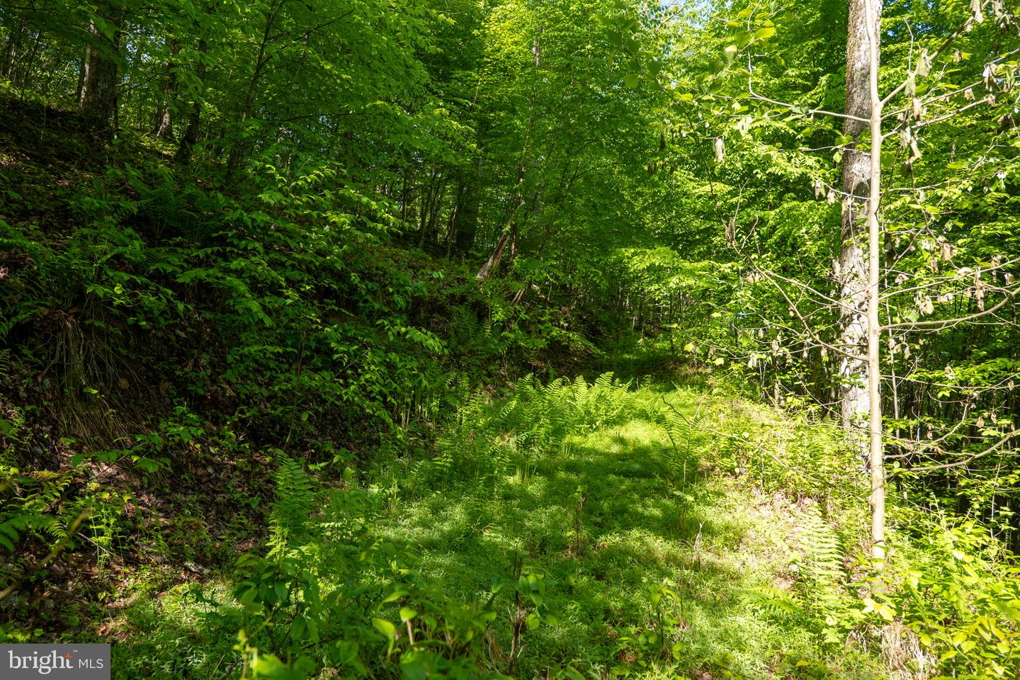 Lot 1 Laurel Mountain Rd Property Photo 82