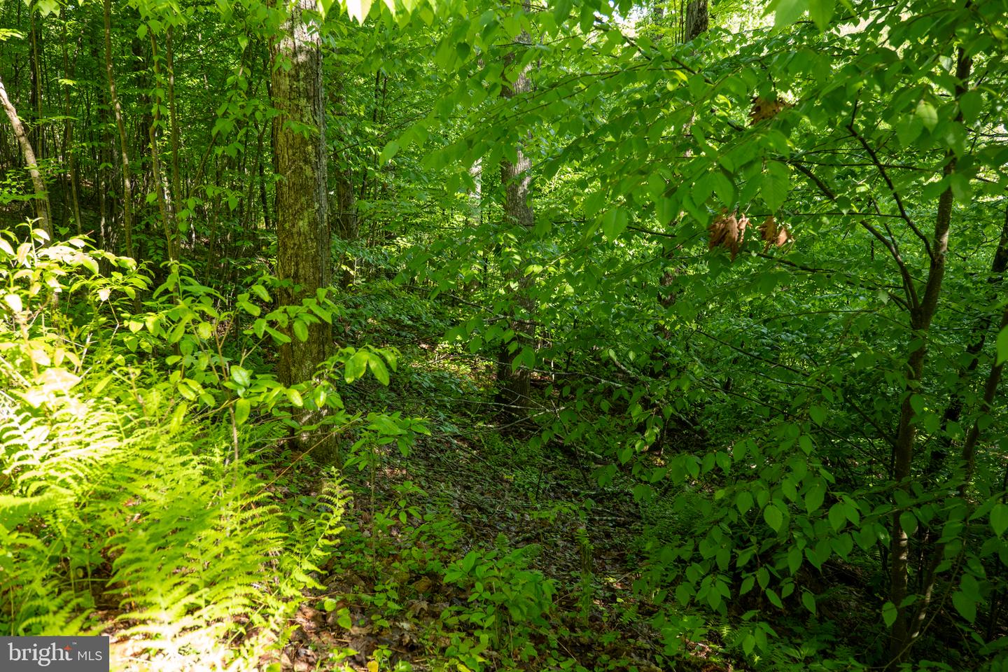 Lot 1 Laurel Mountain Rd Property Photo 83