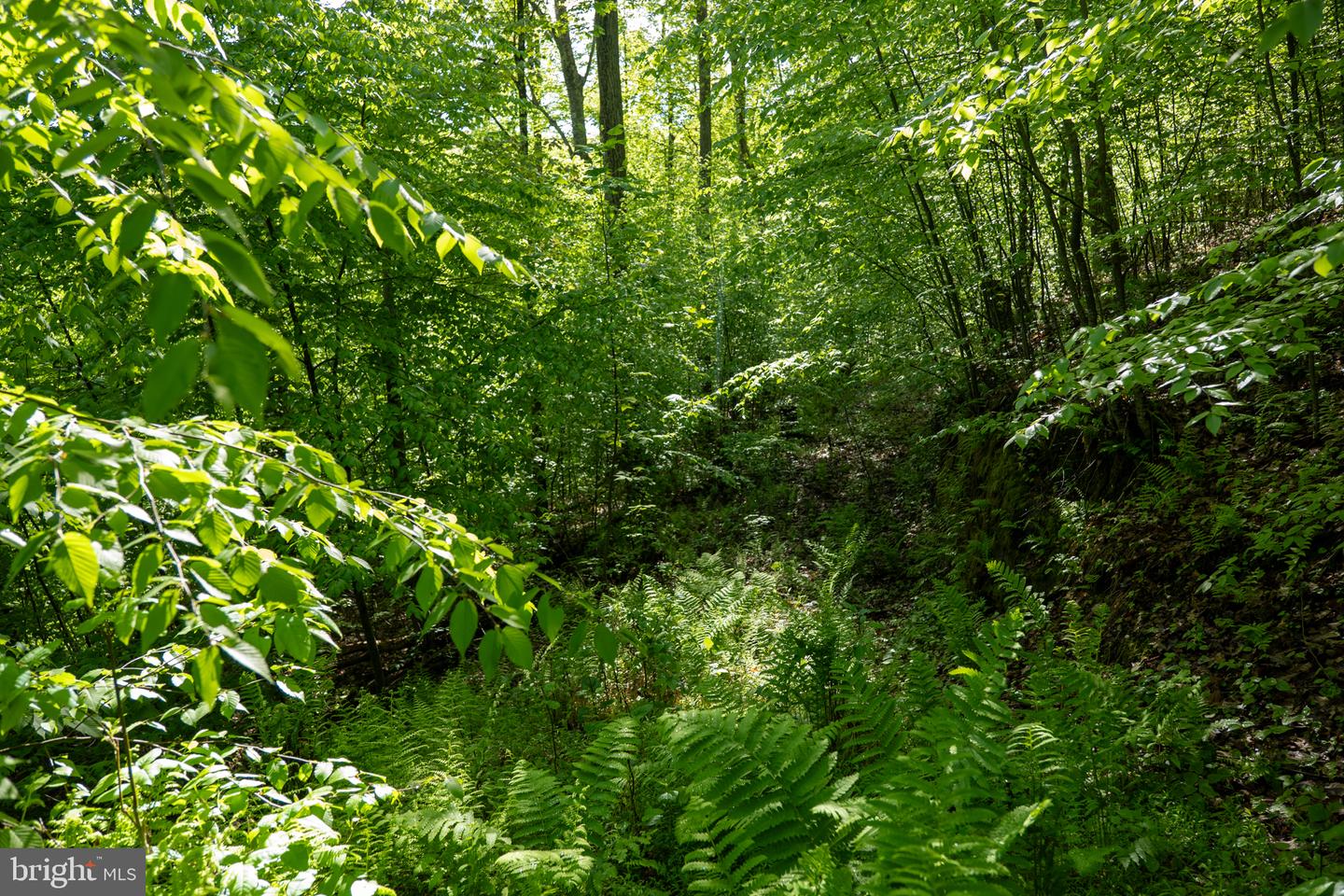 Lot 1 Laurel Mountain Rd Property Photo 84
