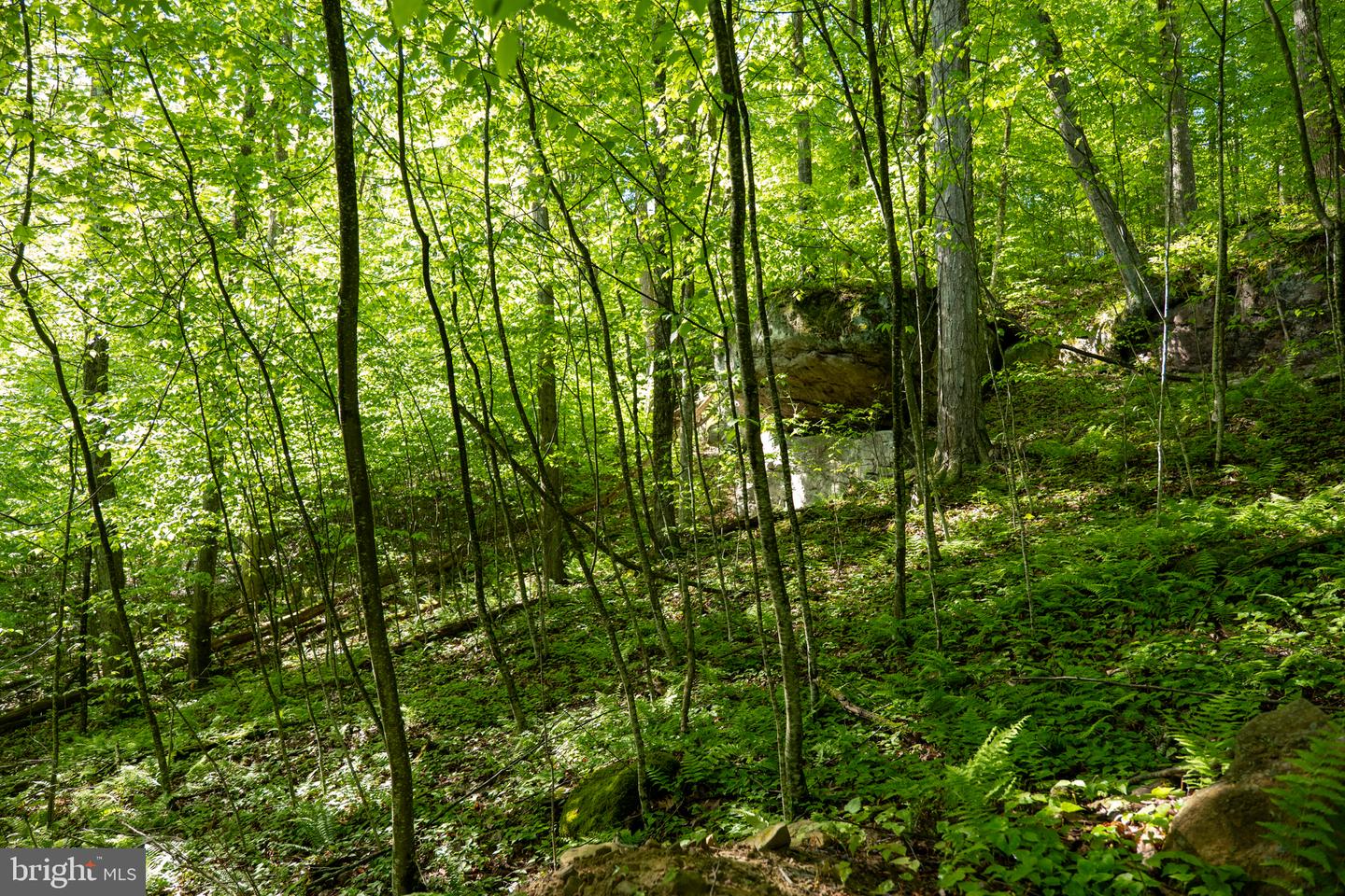 Lot 1 Laurel Mountain Rd Property Photo 87