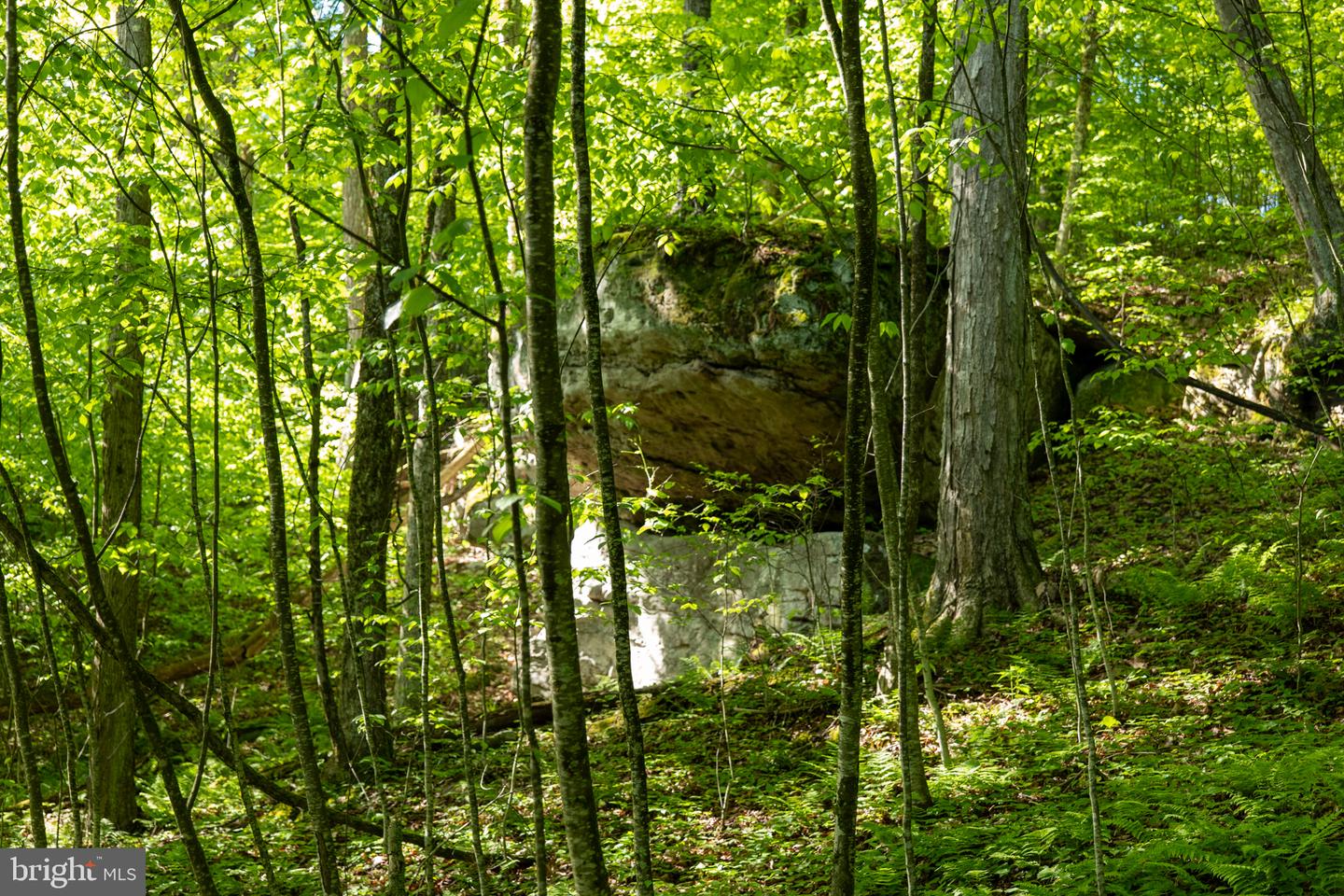 Lot 1 Laurel Mountain Rd Property Photo 88