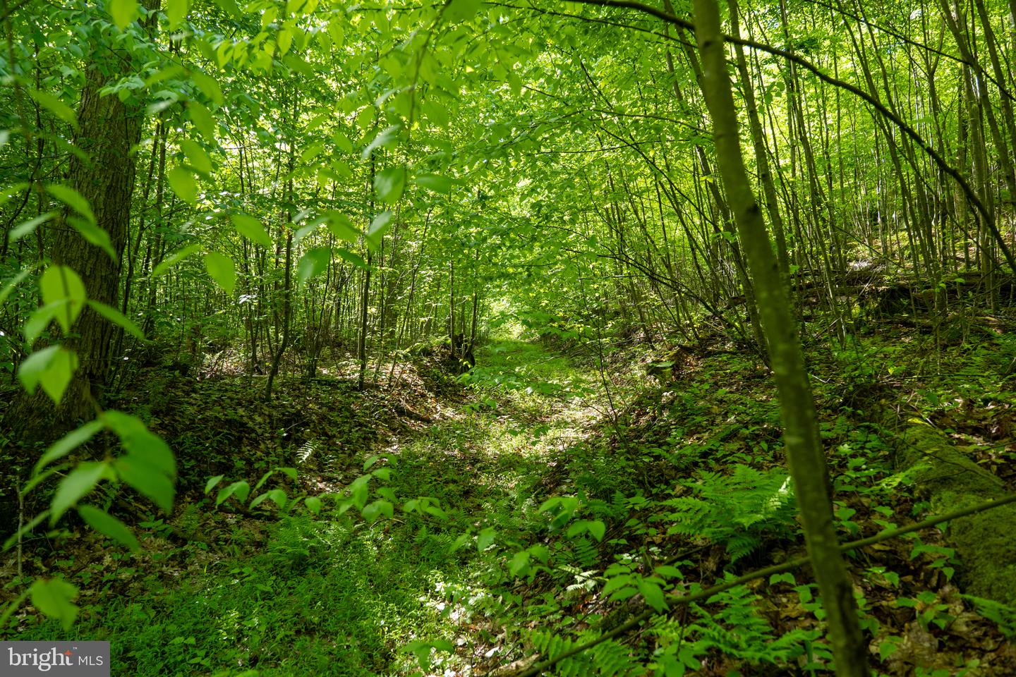 Lot 1 Laurel Mountain Rd Property Photo 91