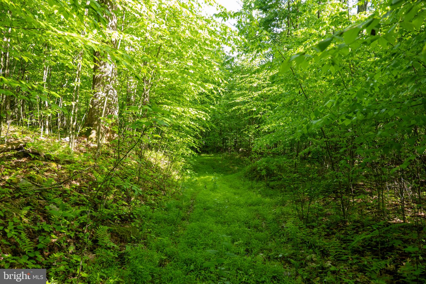 Lot 1 Laurel Mountain Rd Property Photo 92