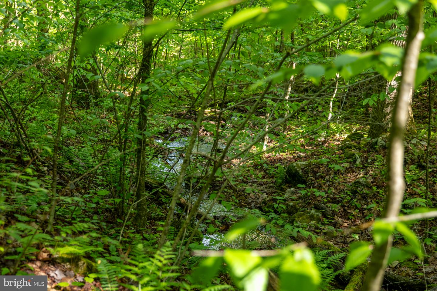Lot 1 Laurel Mountain Rd Property Photo 93