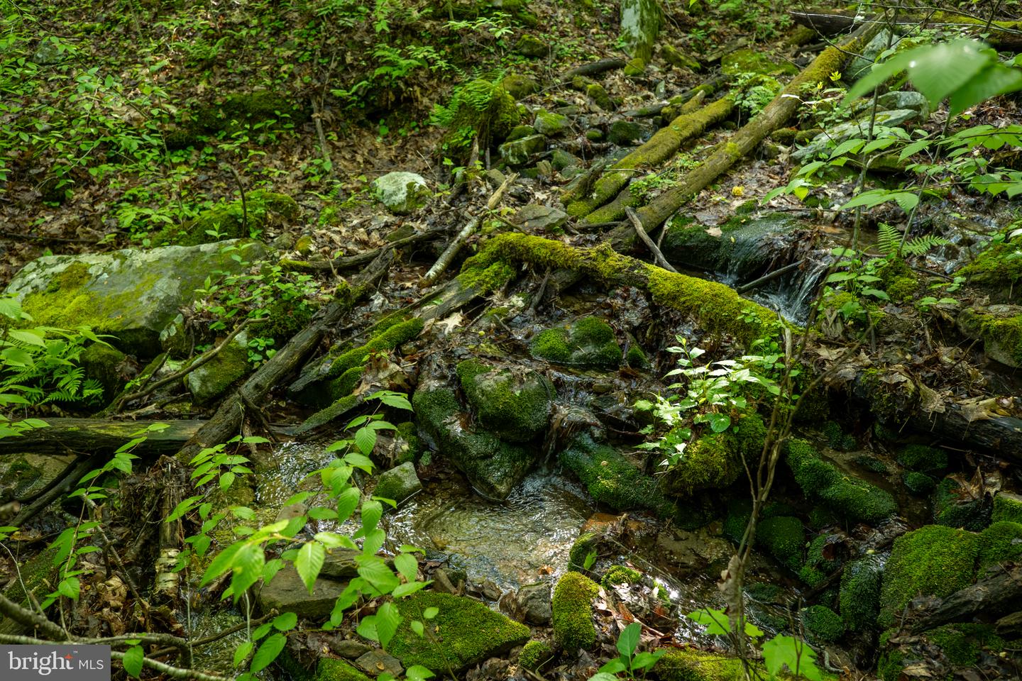 Lot 1 Laurel Mountain Rd Property Photo 94