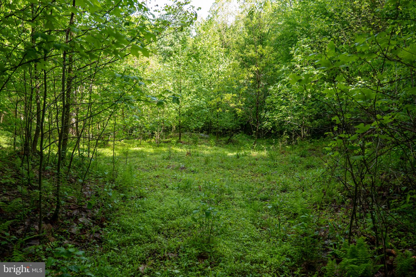 Lot 1 Laurel Mountain Rd Property Photo 95