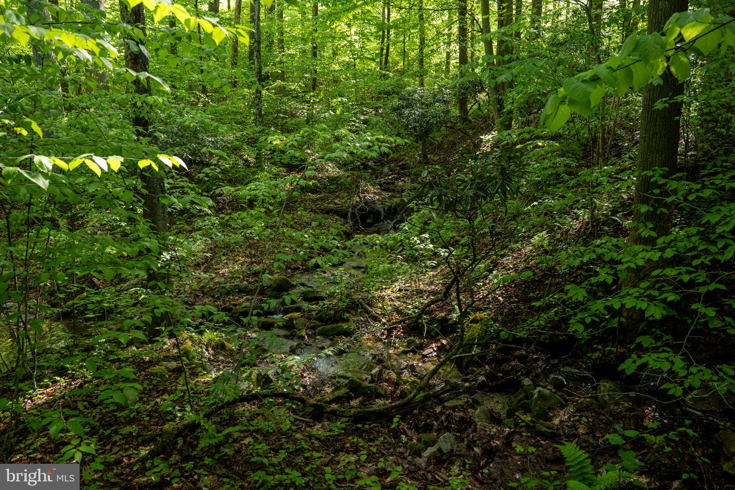 Lot 1 Laurel Mountain Rd Property Photo 96