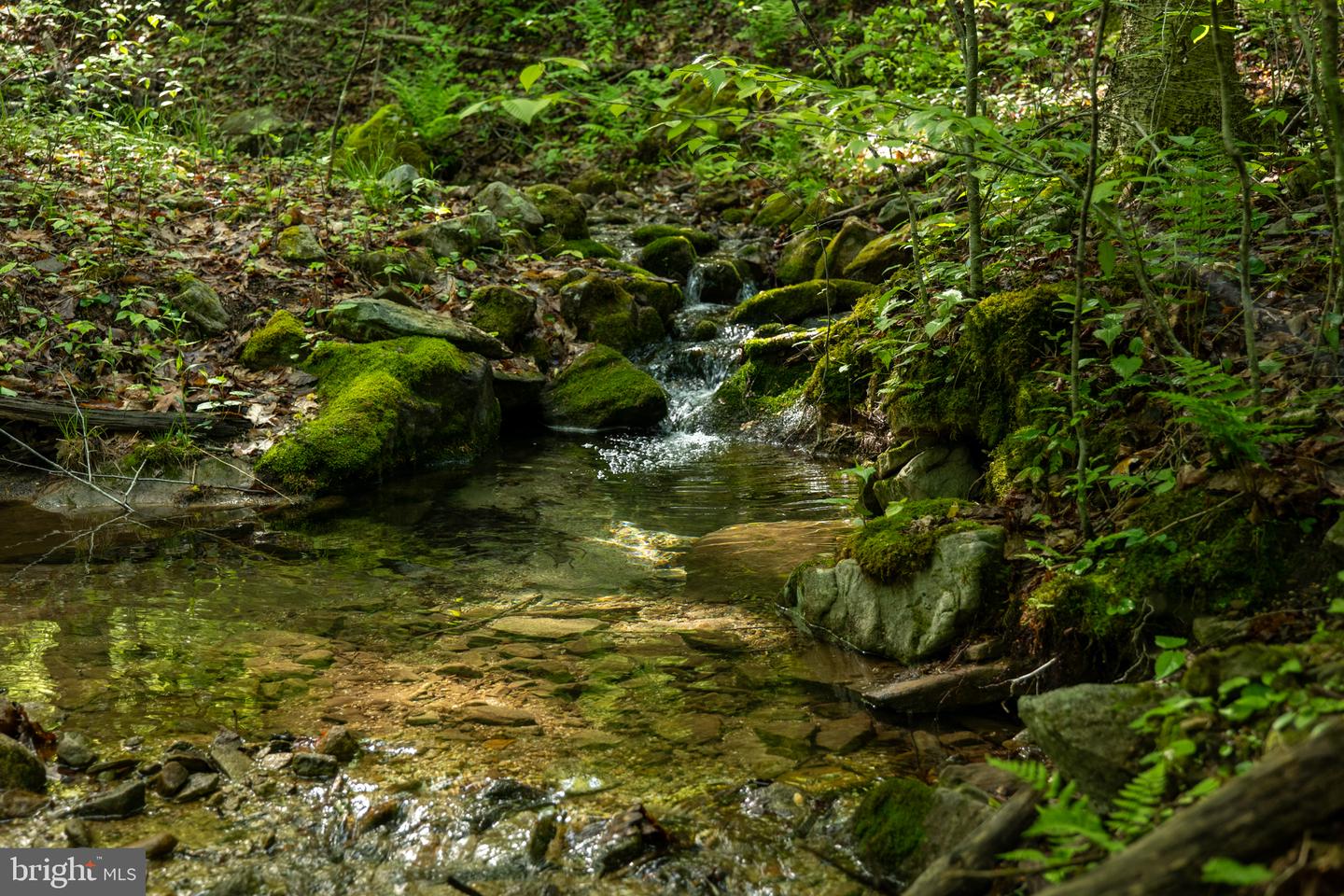 Lot 1 Laurel Mountain Rd Property Photo 97