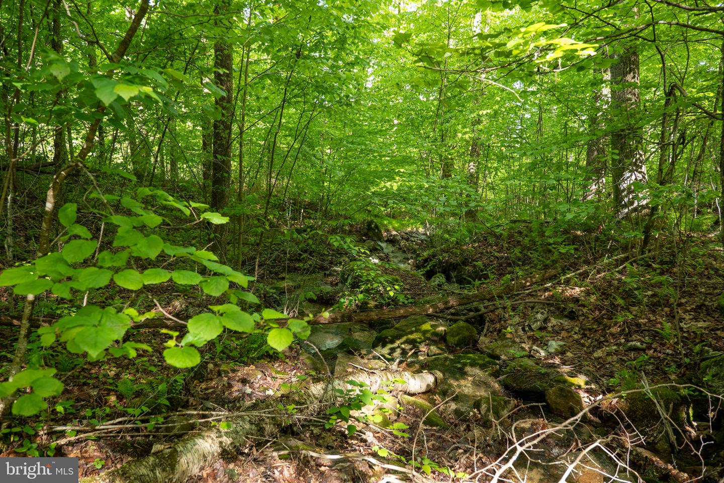 Lot 1 Laurel Mountain Rd Property Photo 99