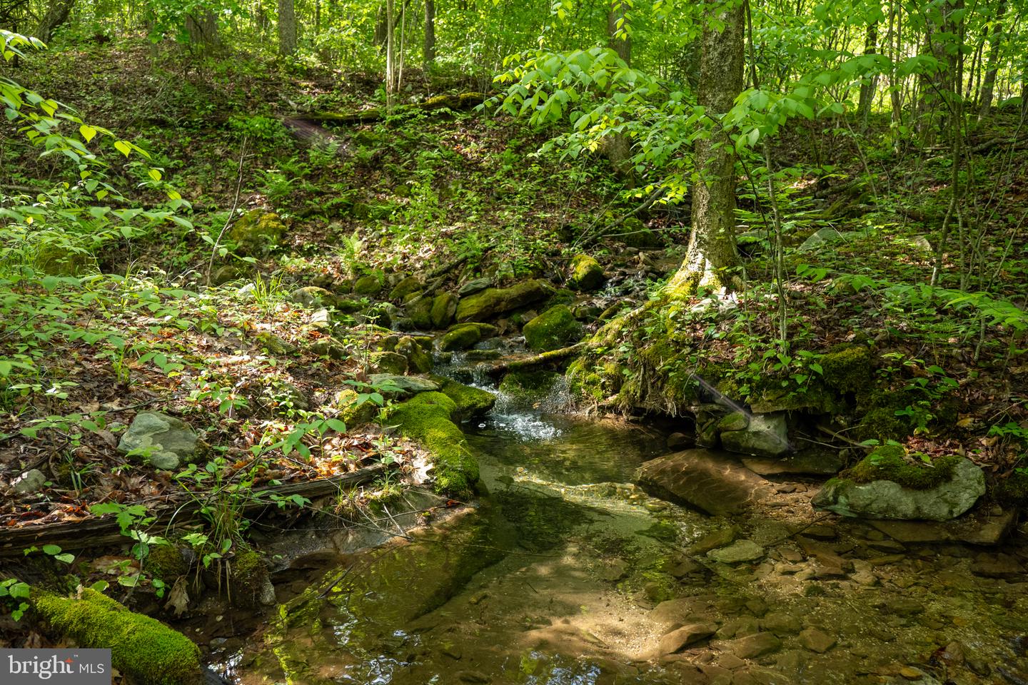 Lot 1 Laurel Mountain Rd Property Photo 100