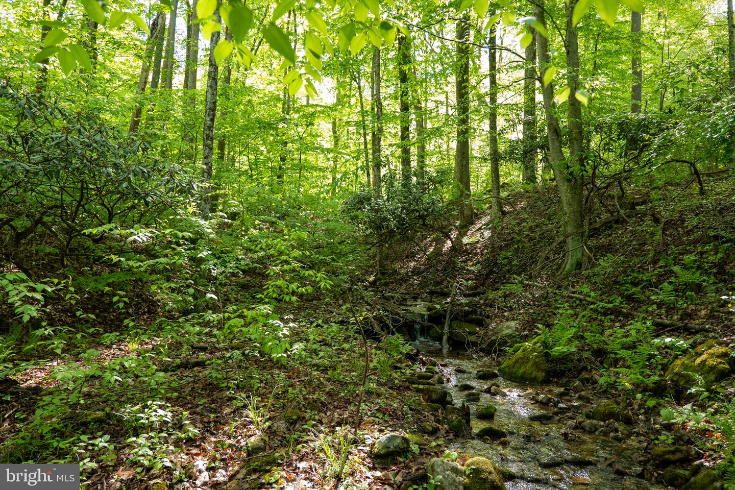 Lot 1 Laurel Mountain Rd Property Photo 101