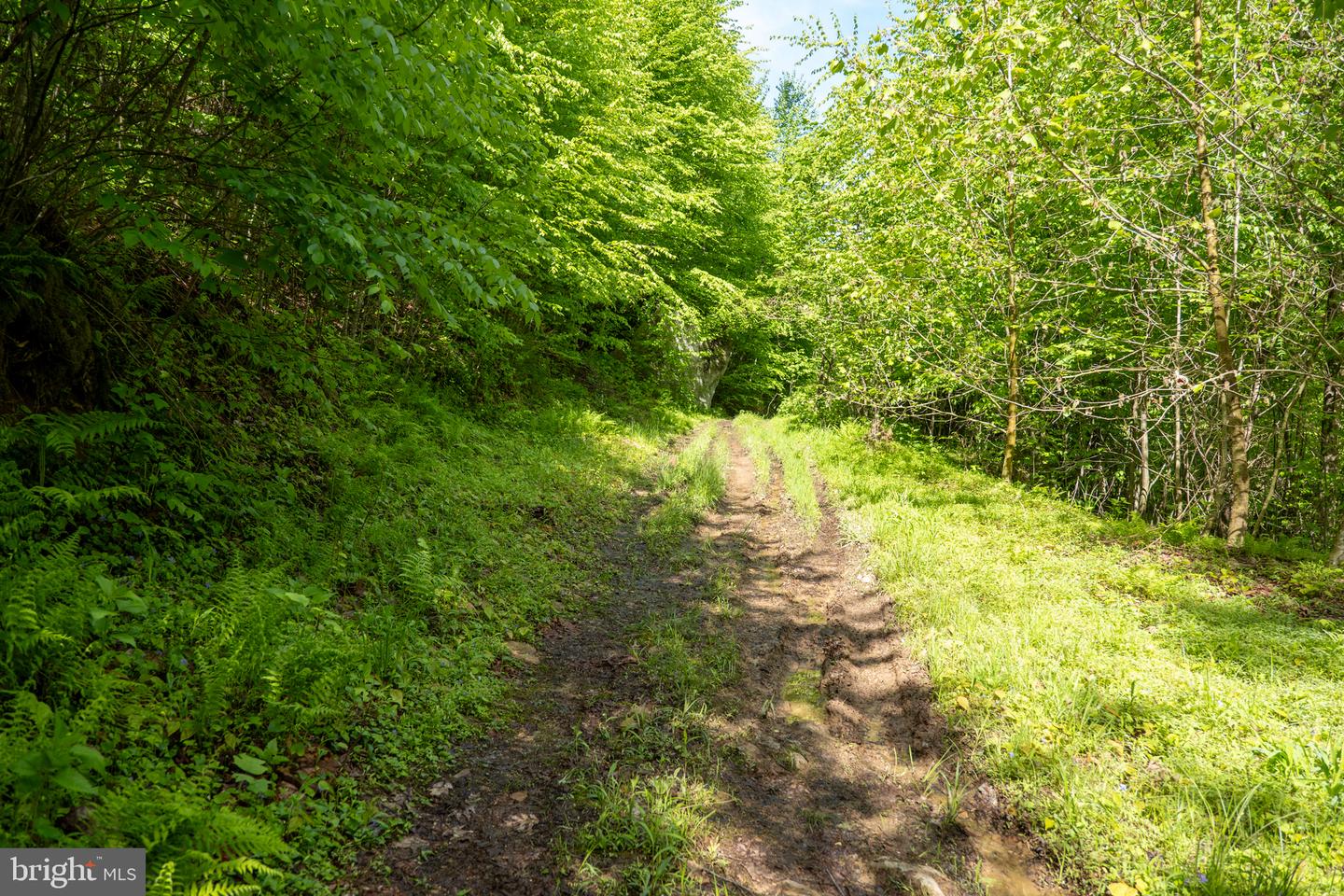Lot 1 Laurel Mountain Rd Property Photo 102