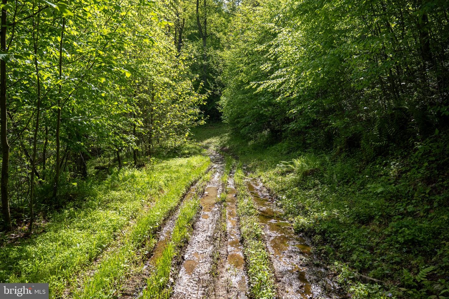 Lot 1 Laurel Mountain Rd Property Photo 103