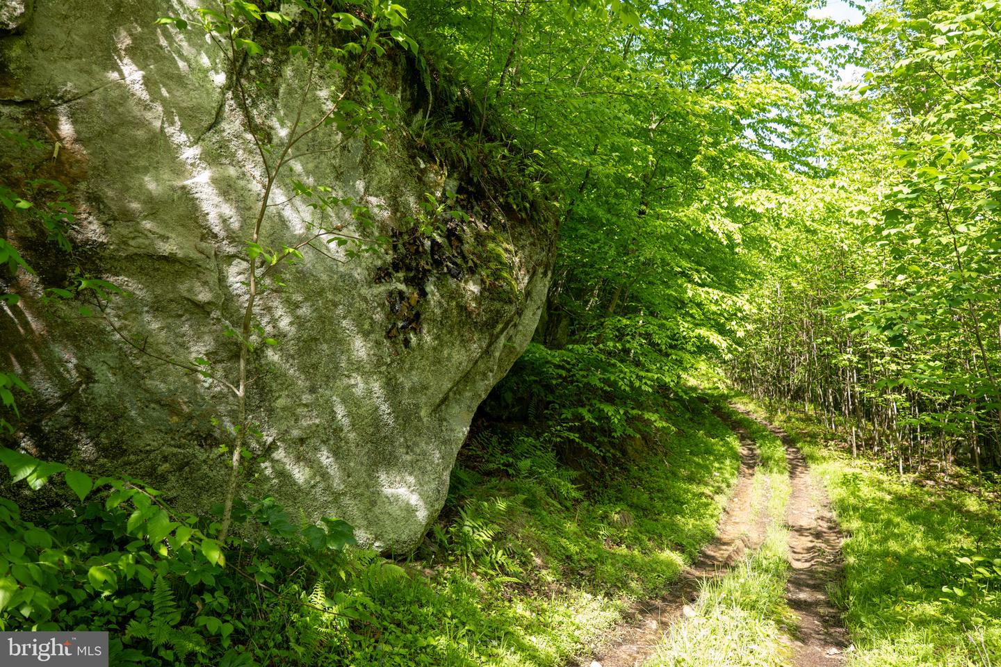 Lot 1 Laurel Mountain Rd Property Photo 104
