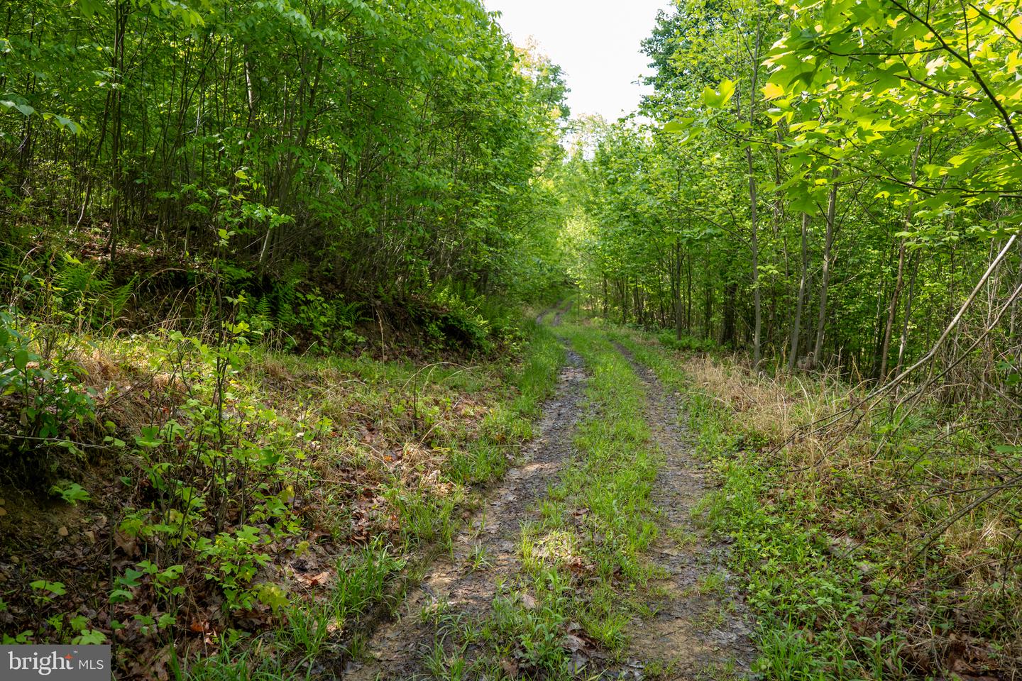 Lot 1 Laurel Mountain Rd Property Photo 106