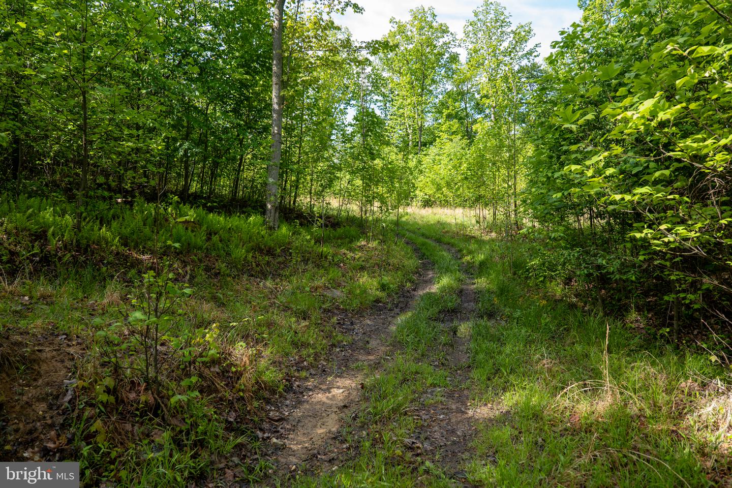 Lot 1 Laurel Mountain Rd Property Photo 107