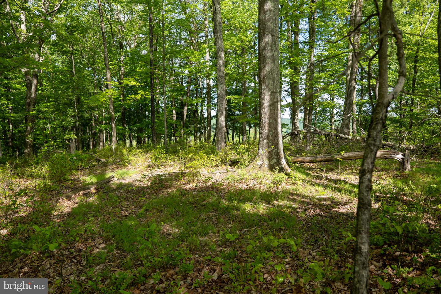 Lot 1 Laurel Mountain Rd Property Photo 108