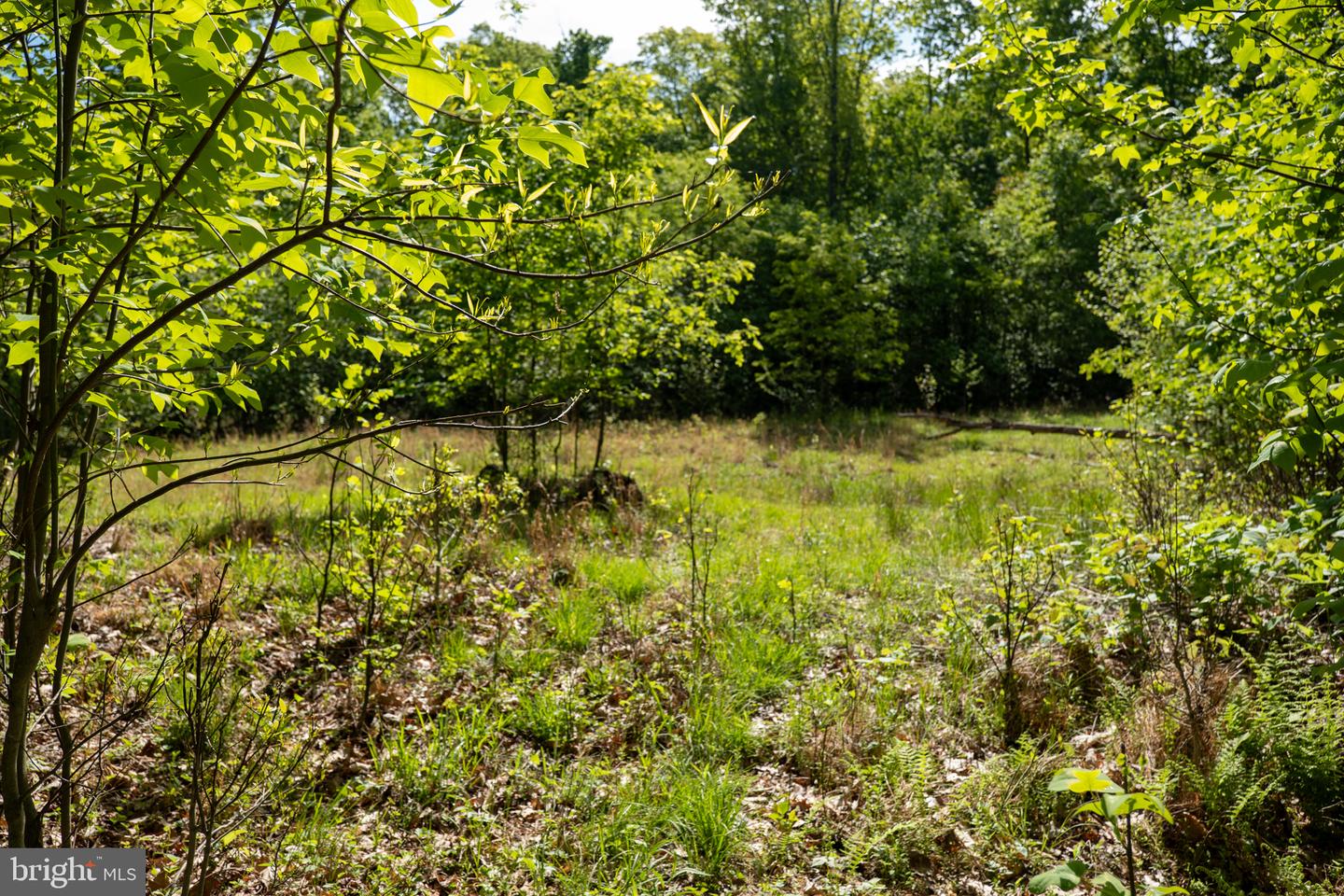 Lot 1 Laurel Mountain Rd Property Photo 109