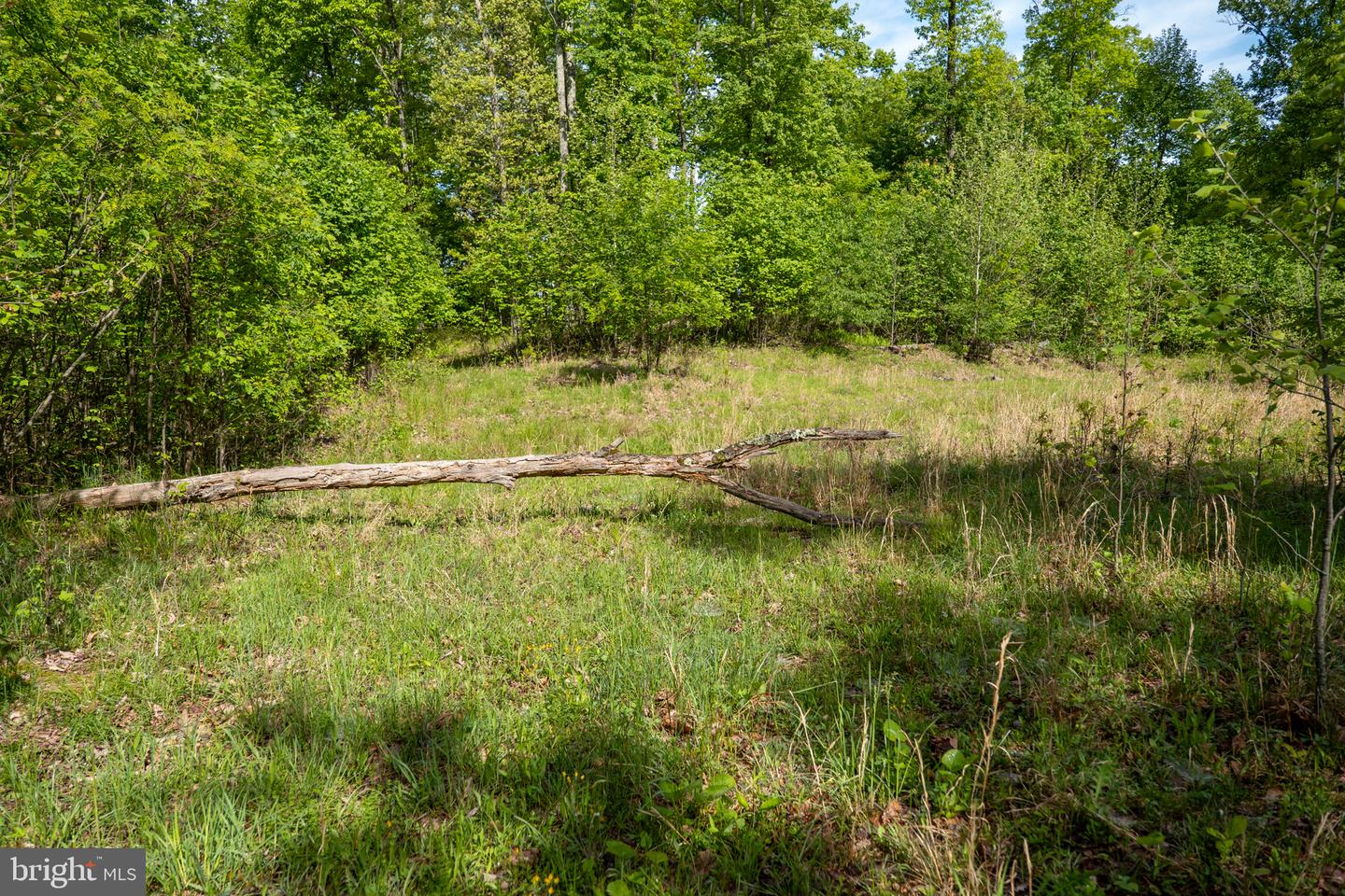 Lot 1 Laurel Mountain Rd Property Photo 110