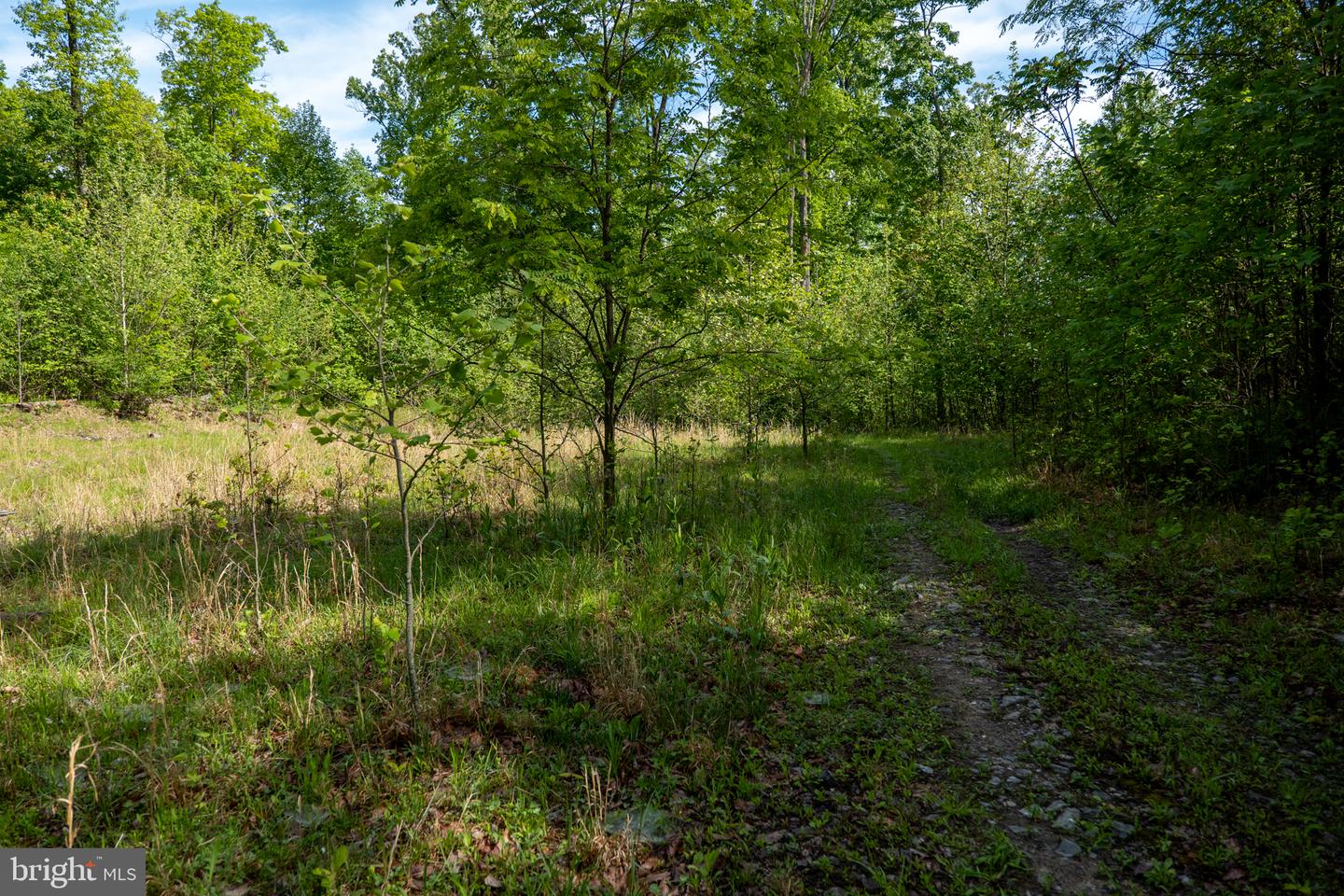 Lot 1 Laurel Mountain Rd Property Photo 111