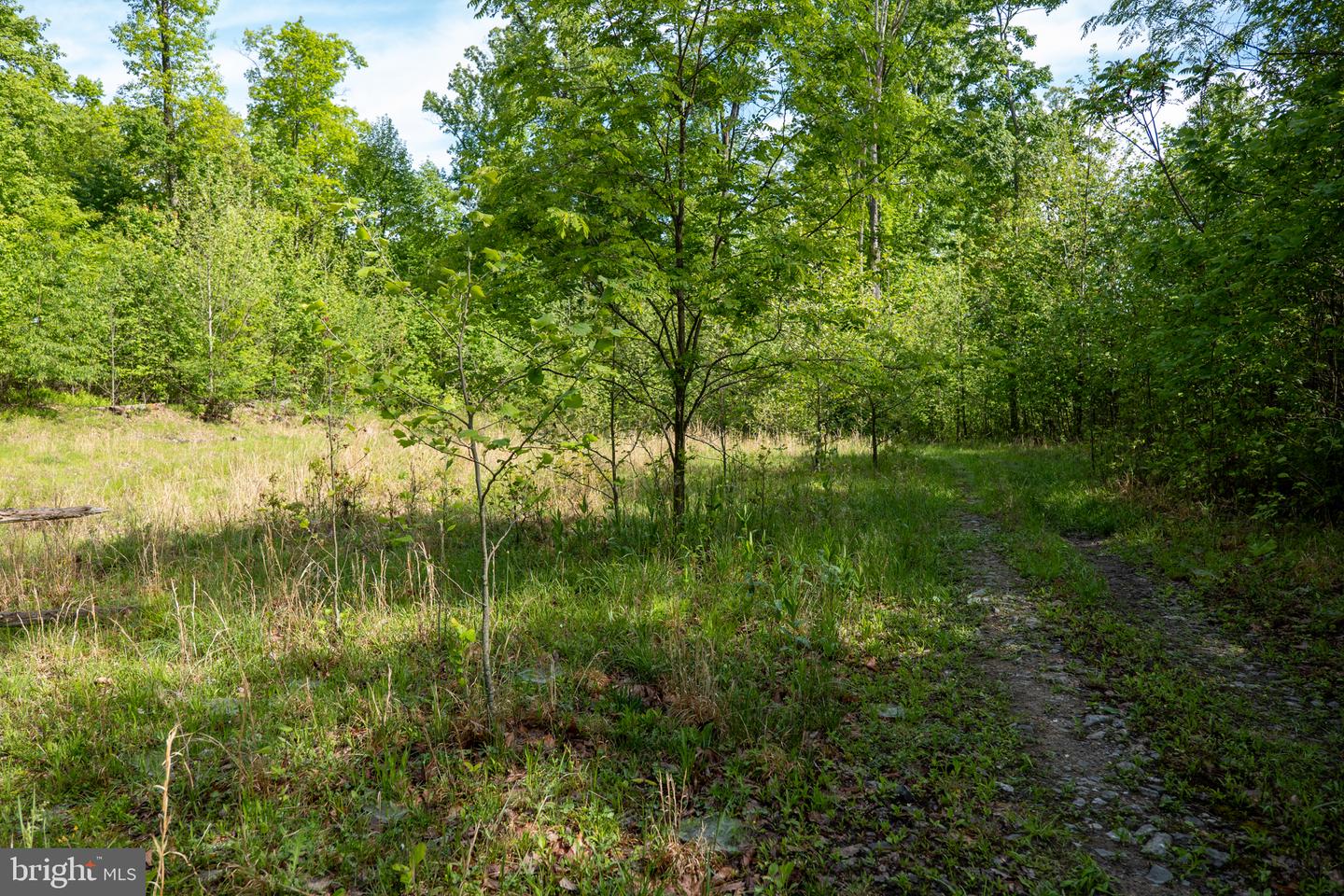 Lot 1 Laurel Mountain Rd Property Photo 112