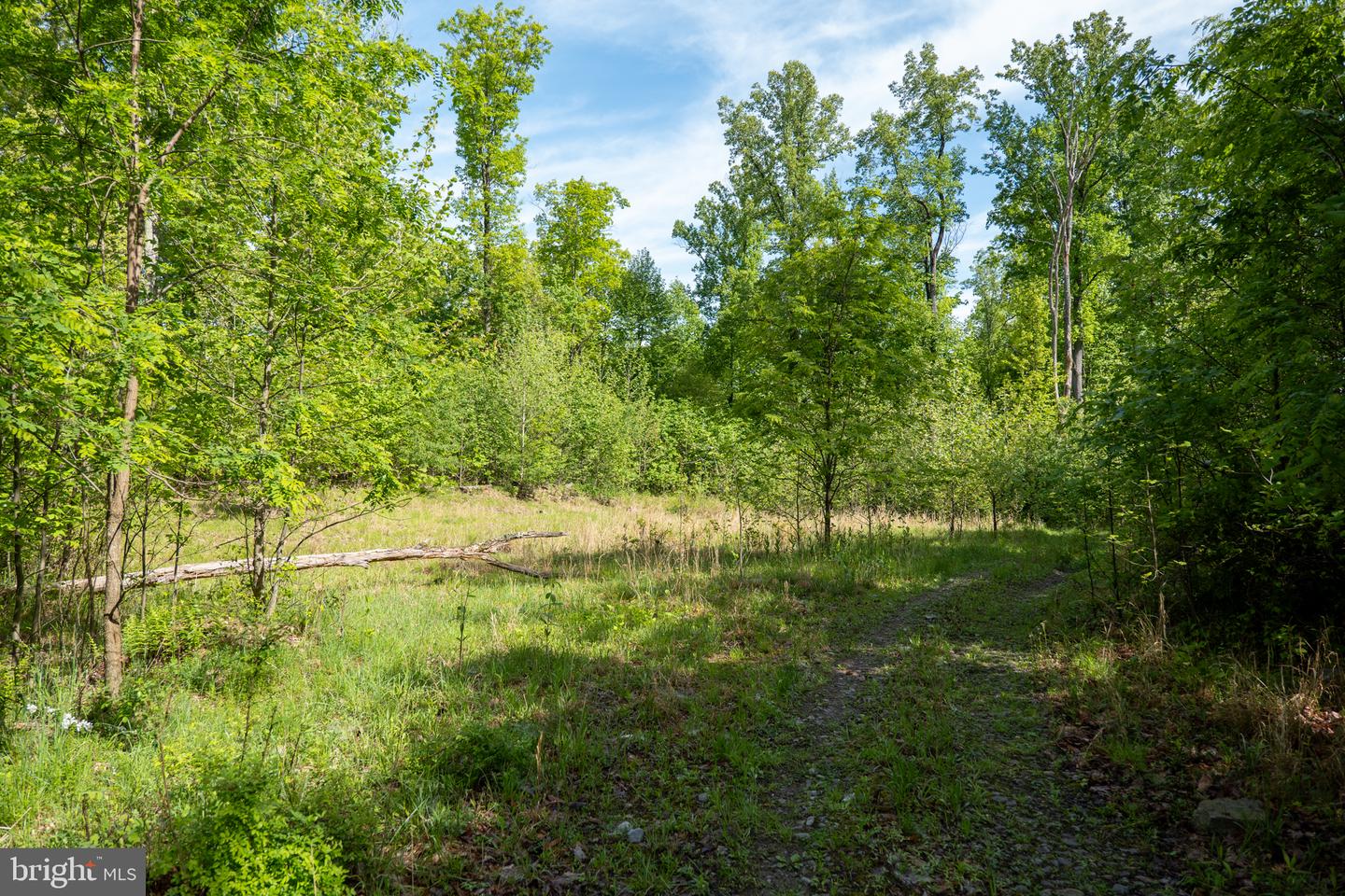 Lot 1 Laurel Mountain Rd Property Photo 113