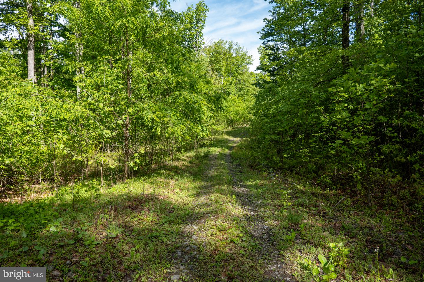 Lot 1 Laurel Mountain Rd Property Photo 114