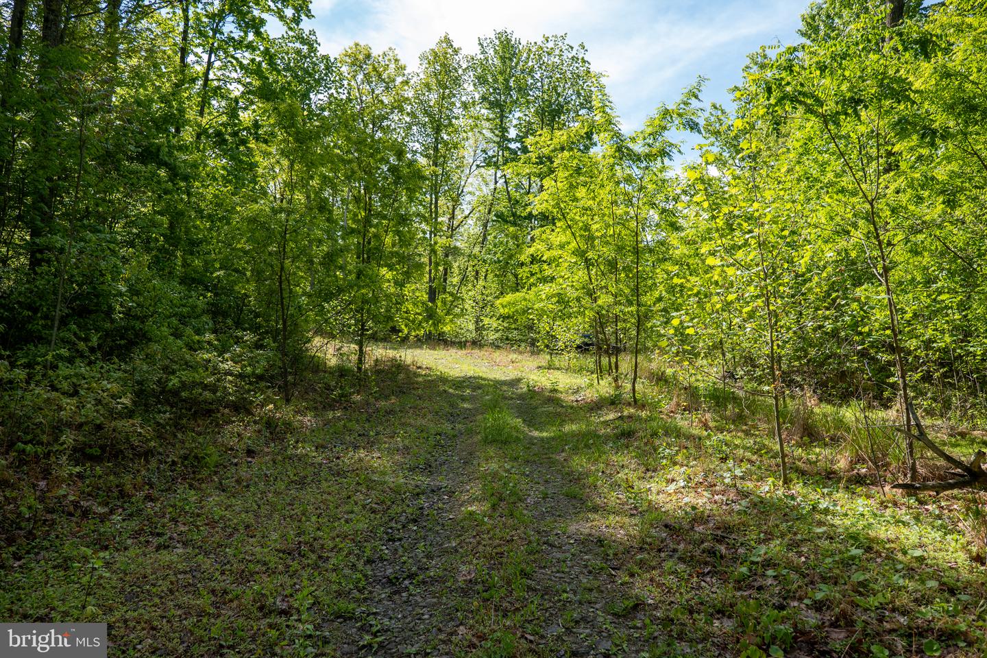 Lot 1 Laurel Mountain Rd Property Photo 115