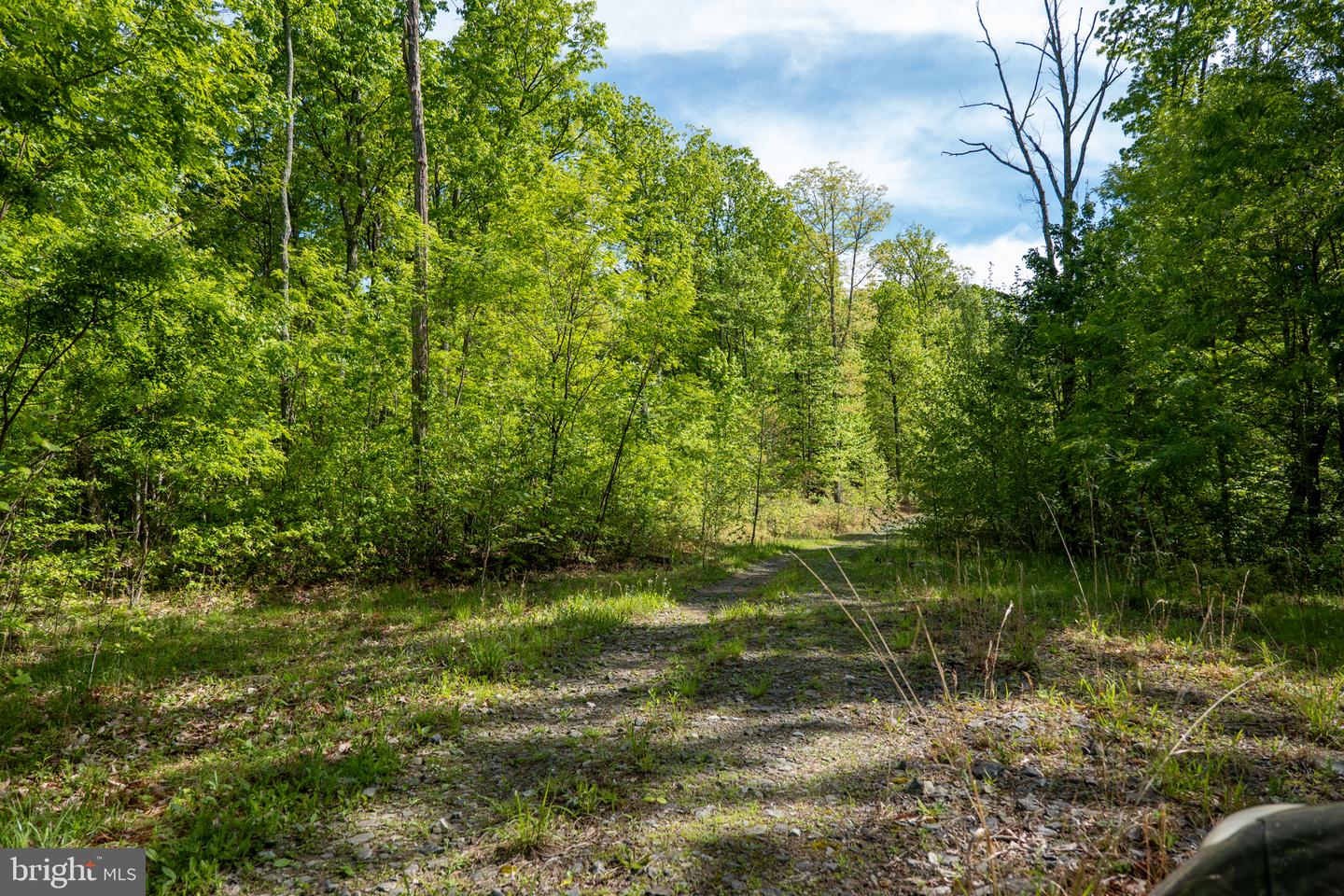 Lot 1 Laurel Mountain Rd Property Photo 116