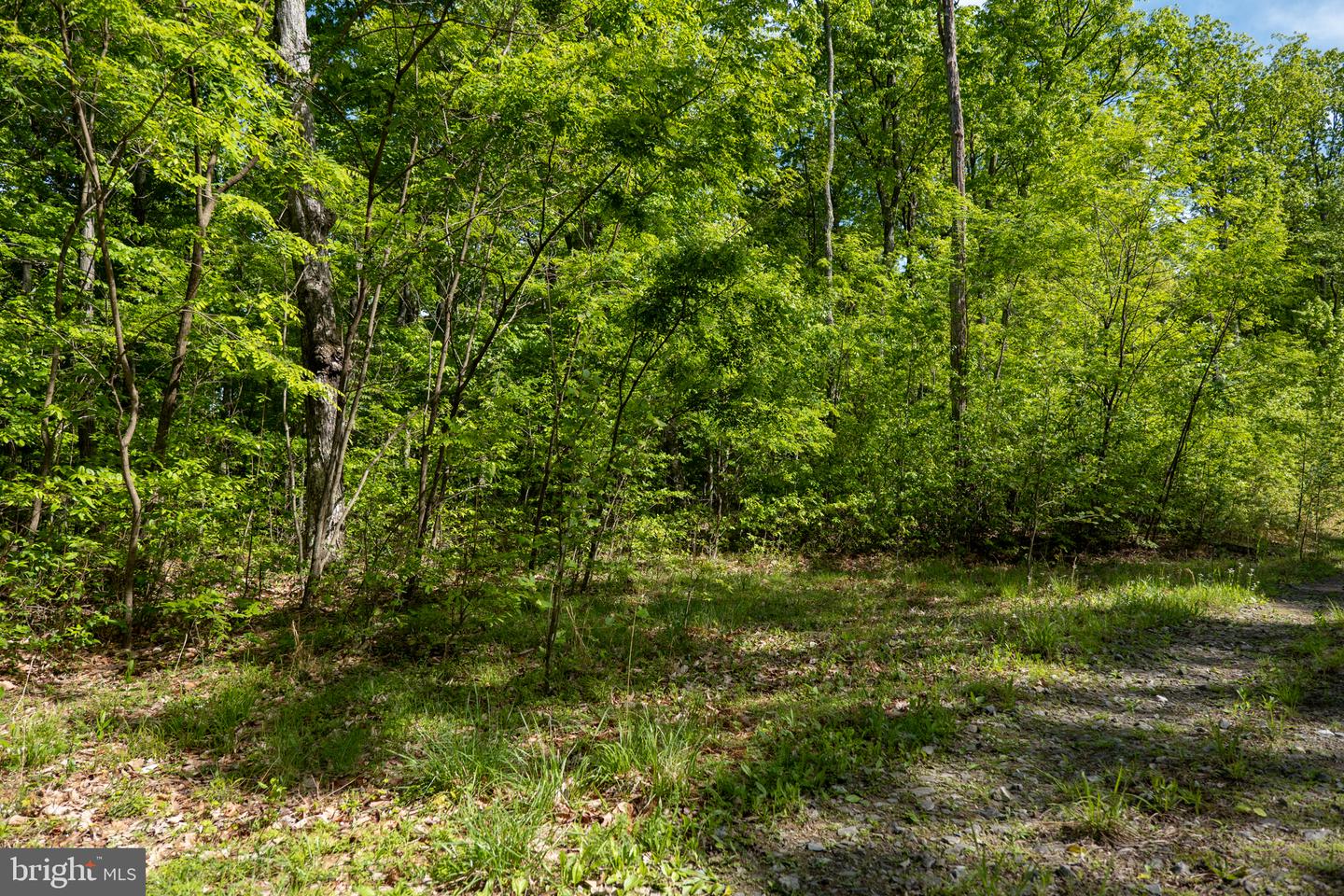 Lot 1 Laurel Mountain Rd Property Photo 117